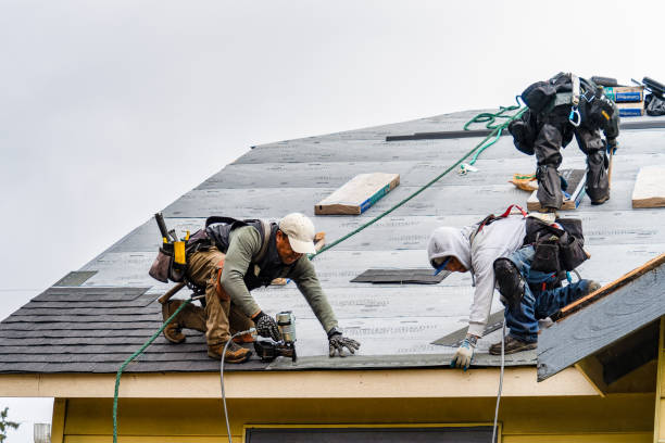 Professional Roof Replacement technician working in Amboy, IN